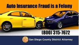 Insurance Fraud
